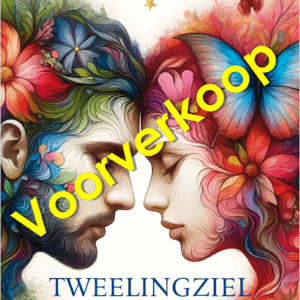 Boek Tweelingziel als spiegel