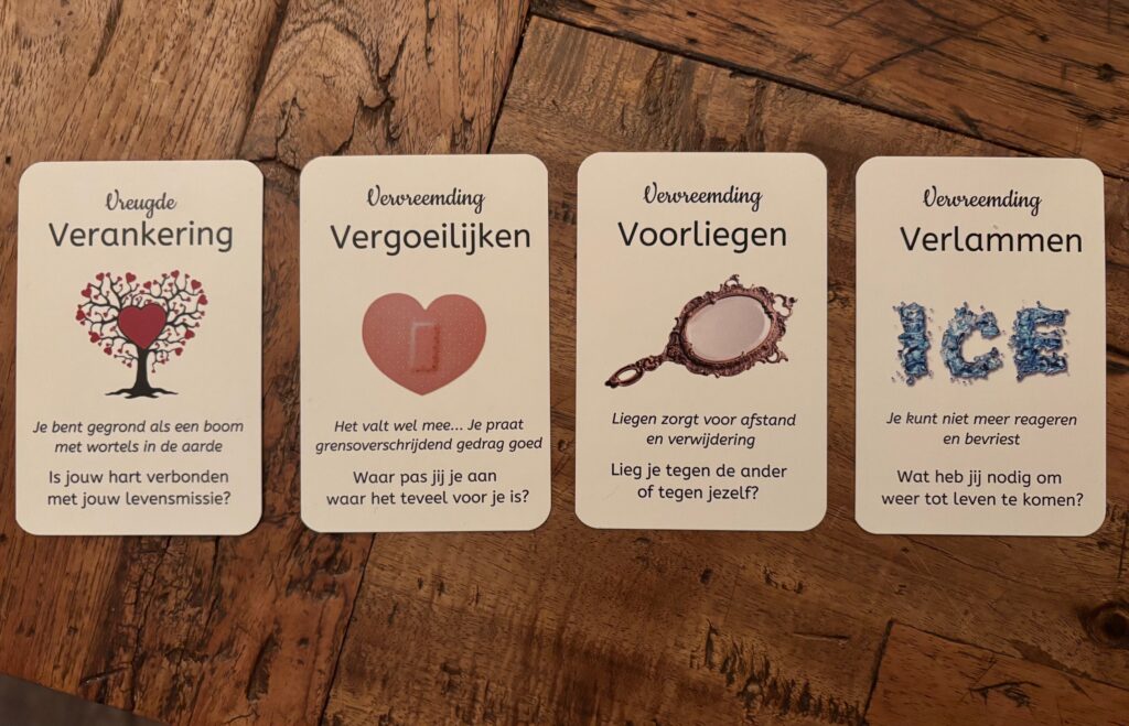 kaartenset vreugdecirkel en vervreemdingscirkel