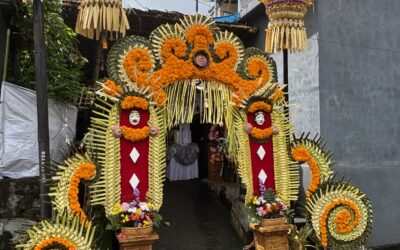 Thuiskomen in jezelf via de spiegel van je tweelingziel