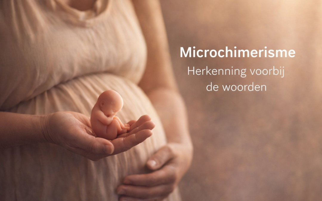 Microchimerisme en de alleengeboren tweeling