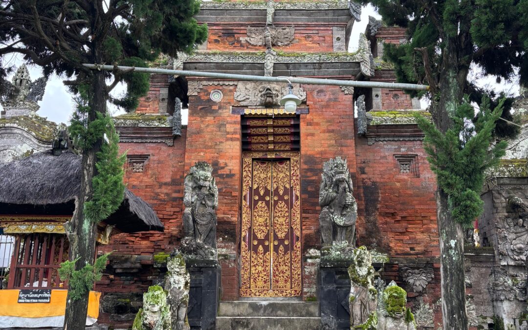 De stem uit het Balinese oerwoud – hoe ik mijn soevereiniteit terugvond